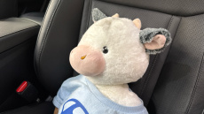 Hyundai TUCSON 1.6 TGDi Hybrid 230 Ultimate 5dr 2WD Auto Hybrid Estate